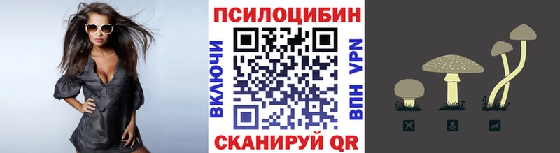 OMG как войти  дарнет шоп  Нефтегорск  Псилоцибиновые грибы ЛСД 